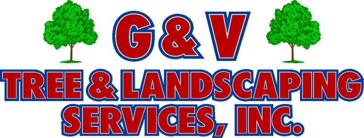 Virginia SEO and Web Design Client - G&V Tree Service Logo